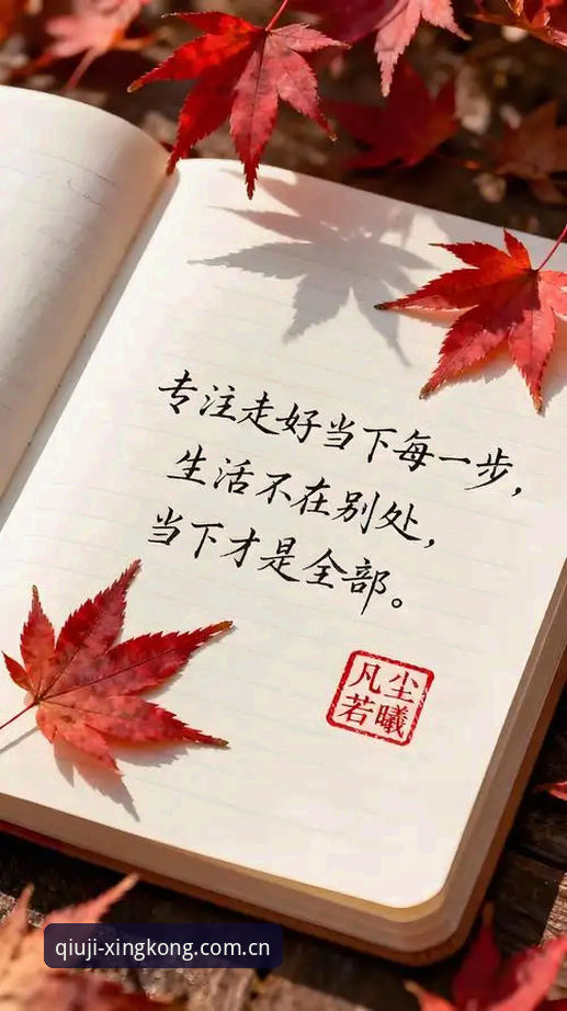星空中国APP下载攻略 一场裁判自白与数字时代的逆向选择
